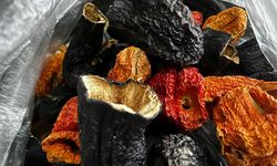 Kuru Dolmalıklar İlgi Çekiyor
