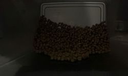 Mamalarda Besin Değerlerine Dikkat