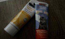 Kedi Sağlığına Önem Veriliyor