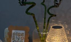 Loş Işık Tercih Ediliyor