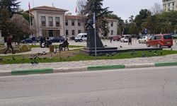 Özgürlük ve Demokrasi Meydanı’nda Güvercin Yoğunluğu