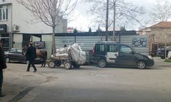 At Arabası ile Çöp Toplama Dikkat Çekti