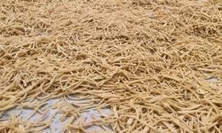 Kışın Kalanına Hazırlık Devam Ediyor