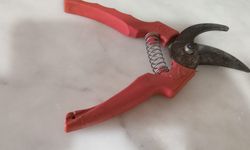 Kırklareli’nde Budama Sezonu Başladı