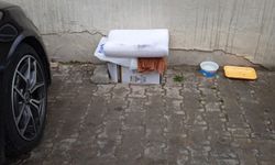 Kırklareli’nde Sokak Kedileri İçin Yuva