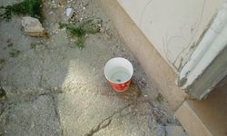Sokak Hayvanları İçin Su Kapları Bırakılıyor
