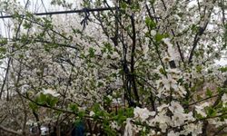 Nevruz ve Ramazan Bayramı Aynı Güne Denk Geldi