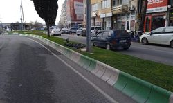 Kırklareli’nde Güvercinler Refüjde Toplandı