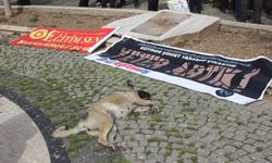 Eylemin En Sakin Katılımcısı