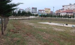 Kıyıköy’de Budama ve Temizlik Çalışmaları Sürüyor