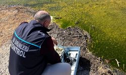 Kırklareli’nde Balıklandırma Çalışmaları Sürüyor