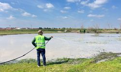 Evrensekiz’de İlaçlama Çalışmaları Başladı
