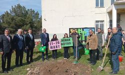 Pınarhisar’da Orman Haftası’nda Fidan Dikimi