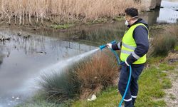 Büyükkarıştıran’da Haşerelere Karşı İlaçlama Çalışması