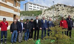 Pınarhisar TOKİ Camii’nde Fidan Dikimi Gerçekleştirildi