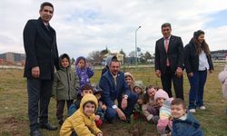 Kaymakam Özderin Öğrencilerle Fidan Dikti