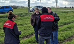 Arpa Tarlalarında Fenolojik Gözlem Yapıldı