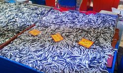 Cumartesi Pazarında Sabah Sakinliği, Balık Tezgâhlarında Yeni Fiyatlar