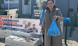 Edirne'de 350 kilogram hamsi dağıtıldı