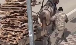 Bursa’da pes dedirten görüntüler