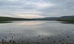 Kuruyan Yeşilsırt Göleti yağışlarla yeniden hayat buldu