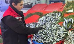 Tekirdağ'da su ürünlerine sıkı denetim