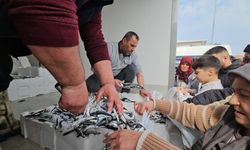 1 ton hamsi 15 dakikada tükendi