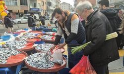 Tekirdağ'da hamsi 50 TL’ye düştü