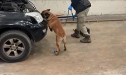 Kapıkule'de araçtaki gizli bölmede 8 kilo 60 gram kokain ele geçirildi