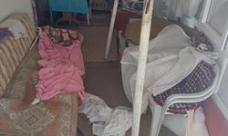 Ayıların Sis Dağı’ndaki yayla evlerine girme mesaisi yeniden başladı