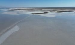 Kuruma tehlikesi yaşanan Tuz Gölü yeniden canlandı