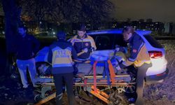 Tarlaya giren otomobil ağaca çarptı, sürücü gözyaşlarını tutamadı