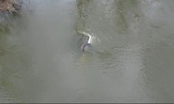 Edirne'de taşkında nehre düşen otomobil 1 ay sonra bulundu