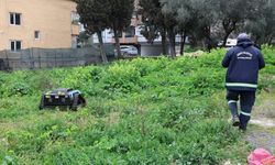 Yeşil alanda uzaktan kumandalı robot dönemi: 6 kişinin işini tek başına yapabiliyor