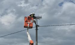 Ölüm hattıydı, yuvalara dönüştü: Bini aştı