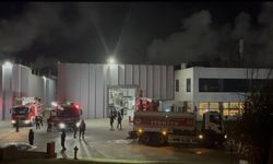 Çerkezköy OSB'de fabrika yangını kontrol altına alındı