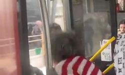 Otobüste kadınlar yer kavgasında şoförün kolunu ısırdı