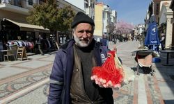 Şehir şehir dolaşarak kokulu kaya tuzu satıyor