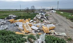 Tekirdağ'da kamyon kamyon atık döküldü