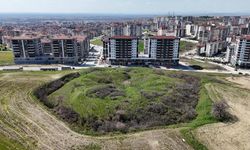 Edirne'de tarihi tabyalar yok olma tehlikesiyle karşı karşıya