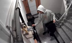 Eyüpsultan'da montunu çuval gibi yapan hırsız girdiği aparmandan 8 çift ayakkabı çaldı