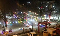 Üsküp’te Şehit Astsubay Ömer Halisdemir Parkı Işıklandırıldı