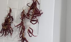 Kurutulan Biberler Sofralara Lezzet Katıyor