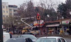 Selim Sarıkaya Caddesi'nde Ağaç Budama Çalışması