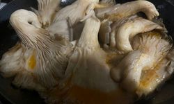 İstiridye Mantarına Baharat Dokunuşu