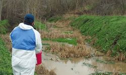 Babaeski’de İlaçlama Yapıldı