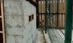 Yem Hayvanlarına Koruma Sağlıyor