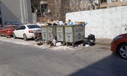 Kırklareli’nde Çöp Konteynerleri Taştı