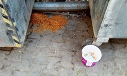 Çöplerin Yanına Bırakılan Yemek Artıkları Tepki Çekti