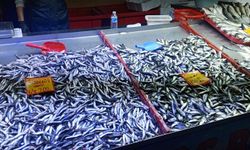 Çarşamba Pazarında Balık Tezgâhlarında Fiyatlar Belli Oldu